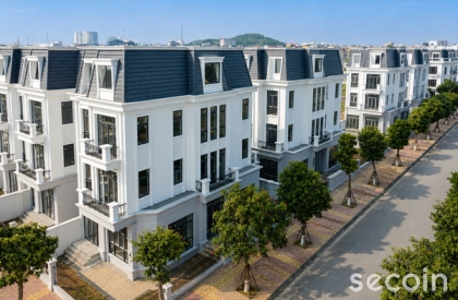 Ngói phẳng Pháp SE-46